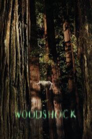 Woodshock 2017 on netflix