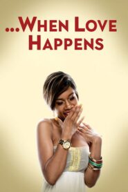 When Love Happens 2014 on netflix