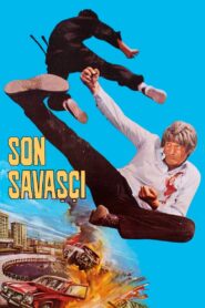 Holy Sword 1982 on netflix
