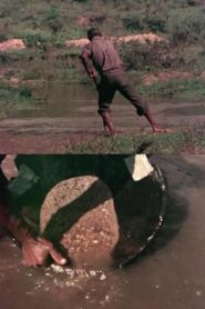 Música Barroca Mineira 1981 on netflix