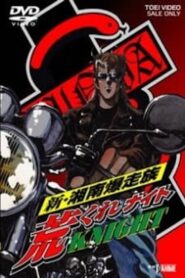 Arakure Knight 1997 on netflix