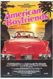 American Boyfriends 1989 on netflix