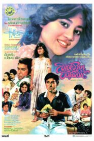 Sai Sawat Yang Mai Sin 1982 on netflix