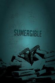 Submersible 2020 on netflix