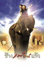 The Elephant Boy 2003 on netflix