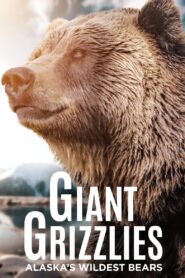 Giant Grizzlies 2008 on netflix