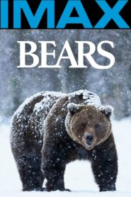 Bears 2004 on netflix