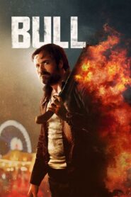 Bull 2021 on netflix