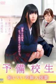 Otona shigan: Hajirai no hatsujô 2016 on netflix
