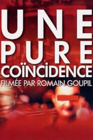 Purely Coincidental 2002 on netflix