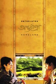 Homeland 2005 on netflix