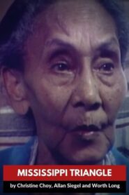 Mississippi Triangle 1984 on netflix