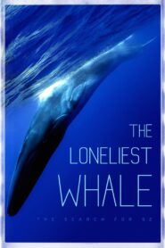 The Loneliest Whale: The Search for 52 2021 on netflix