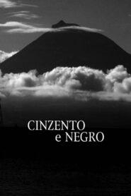 Grey and Black 2015 on netflix