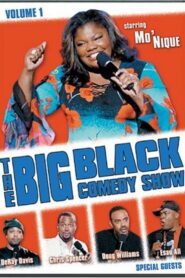 The Big Black Comedy Show: Vol. 1 2004 on netflix