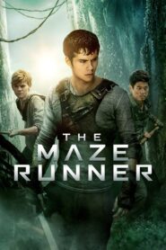 The Maze Runner 2014 on netflix