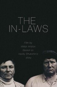The In-Laws 1987 on netflix