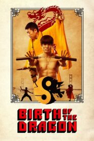 Birth of the Dragon 2017 on netflix