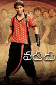 Varudu 2010 on netflix