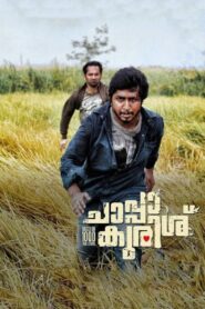Chappa Kurishu 2011 on netflix