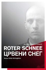 Red Snow 2013 on netflix