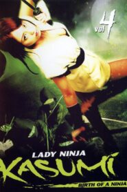 Lady Ninja Kasumi 4: Birth of a Ninja 2007 on netflix