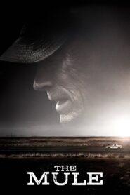 The Mule 2018 on netflix