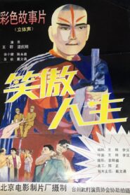 笑傲人生 1994 on netflix