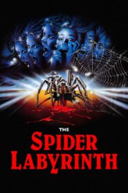 The Spider Labyrinth 1988 on netflix