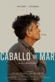 Caballo de mar 2020 on netflix