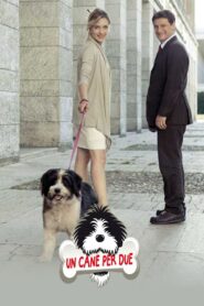 Un cane per due 2010 on netflix