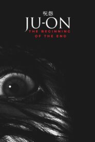 Ju-on: The Beginning of the End 2014 on netflix