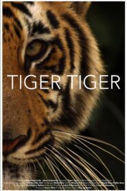 Tiger Tiger 2015 on netflix