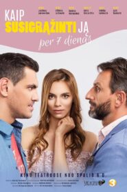 How to win her back in 7 days 2017 on netflix