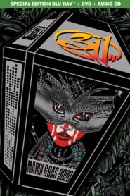 311 – Mardi Gras 2020 2021 on netflix