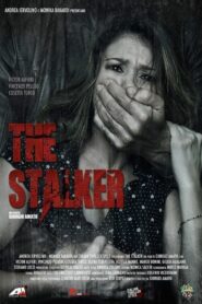 The Stalker 2013 on netflix