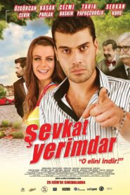 Şevkat Yerimdar 2013 on netflix