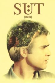Milk 2008 on netflix