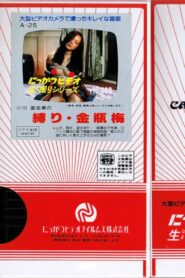 Asami Ogawa’s Binding: Jin Ping Mei 1982 on netflix