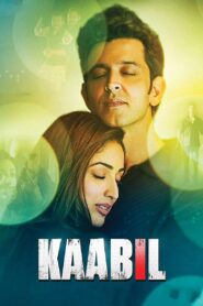 Kaabil 2017 on netflix