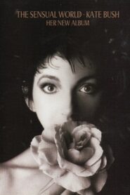 Kate Bush: Sensual World 1990 on netflix
