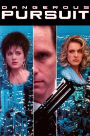 Dangerous Pursuit 1990 on netflix