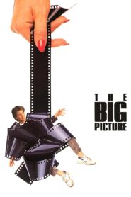 The Big Picture 1989 on netflix