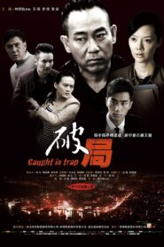 Caught in Trap 2014 on netflix