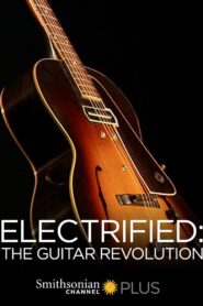 Electrified: The Guitar Revolution 2010 on netflix
