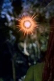 Hinekaro Goes on a Picnic and Blows Up Another Obelisk 1994 on netflix