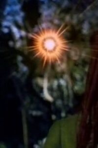 Hinekaro Goes on a Picnic and Blows Up Another Obelisk 1994 on netflix