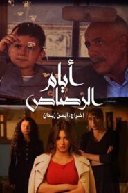 Days of Bullets 2024 on netflix