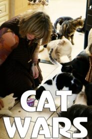 Cat Wars 2014 on netflix
