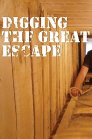 Digging The Great Escape 2011 on netflix